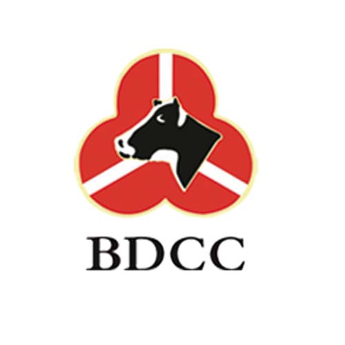 BDCC牌